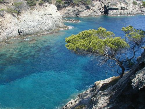 Découverte de la Provence : l'île de Porquerolles