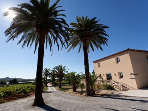 Présentation du Château Sainte Marguerite, Cru Classé Côtes de Provence