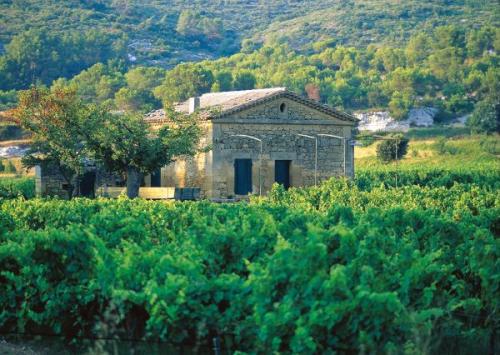 Vins Crus Classés de Provence