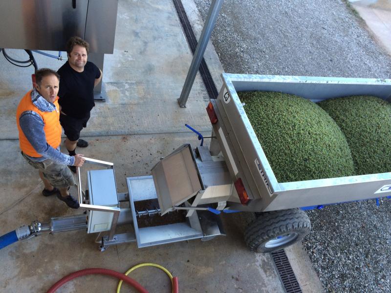 Les vendanges chez Sainte Marguerite ont commencé