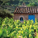 Côtes de Provence : L'AOC la plus connue pour le vin rosé de Provence
