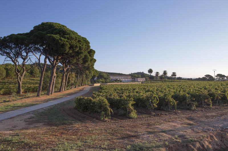 Cru Classé A.O.C Côtes de Provence depuis 1955