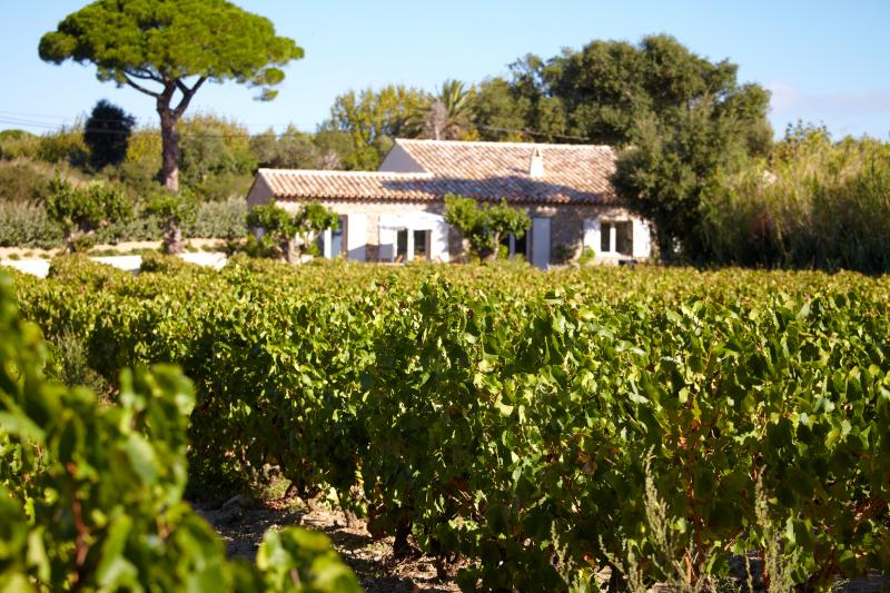 La Ferme des Lices, un vignoble secret situé sur le grand terroir de Saint Tropez